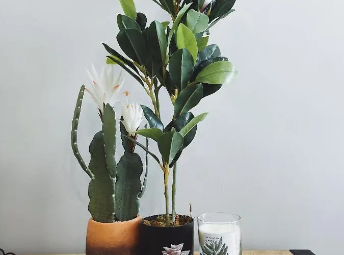 公寓 Martalia Namar Centro *
